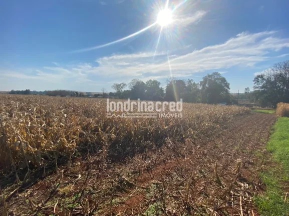 Imagem Chácara à venda Zona Rural, Serranópolis do Iguaçu - PR
