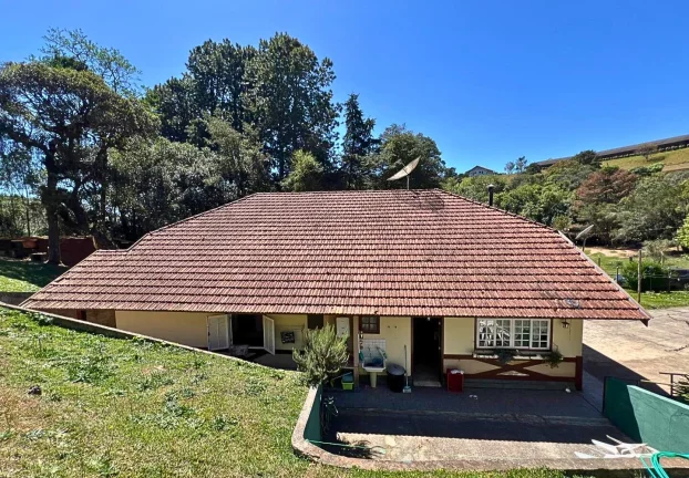 Imagem Três casas, um grande jardim e a liberdade de viver a serra no seu próprio ritmo