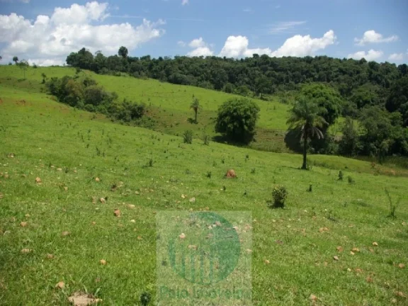Imagem FAZENDA 169 HA, 1051 M ALTITUDE PARA CAFÉ, JACUÍ - MG