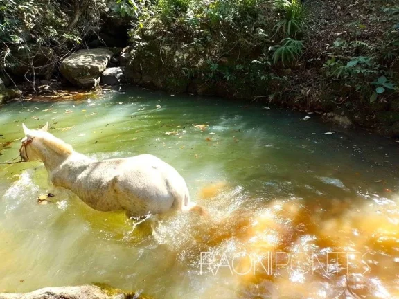 Fazenda à Venda, 70.000 m² em Sodrelândia - Trajano De Morais