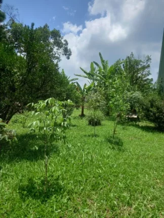Imagem Chácara com 2 dormitórios à venda, 900 m² por R$ 550.000,00 - Parque Palmeiras - Suzano/SP