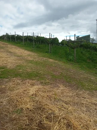 Imagem 13 mil m² - EXCELENTE ÁREA RESIDENCIAL PARA VENDA NO BAIRRO DO POSTE (PRÓXIMO ROD. BANDEIRANTES) , JUNDIAI SP