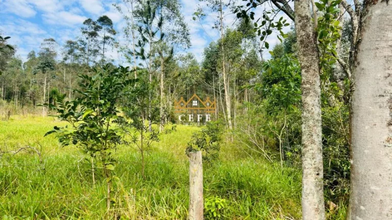 Imagem Chácara - Sítio com 1 Dormitorio(s) localizado(a) no bairro Zona Rural em Araricá / RIO GRANDE DO SUL Ref.:1584