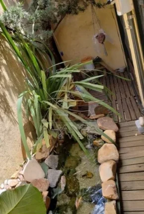 Imagem Casa - Ribeirão Preto - Alto da Boa Vista