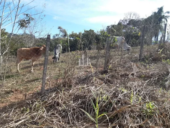 Imagem Terreno de 4.357 m² Só fazer pequena Terraplanagem Para Construir sua Casa em Socorro-SP