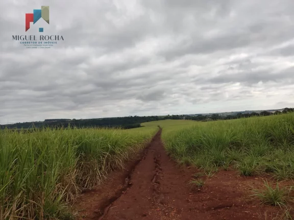 Imagem Fazenda região de Tatuí SP