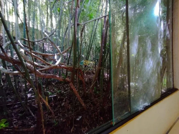Imagem Galpão para Venda em Teresópolis / RJ no bairro Parque do Imbui