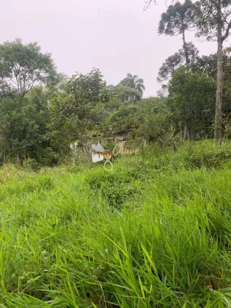 Imagem Terreno amplo à venda no Jardim Renata (Itapecerica da Serra)