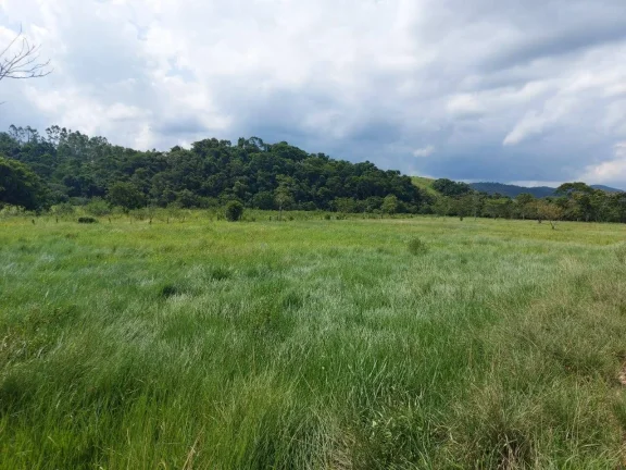 Imagem VENDO FAZENDA COM 30 ALQUEIRES EM SILVA JARDIM, AGUA POR GRAVIDADE
