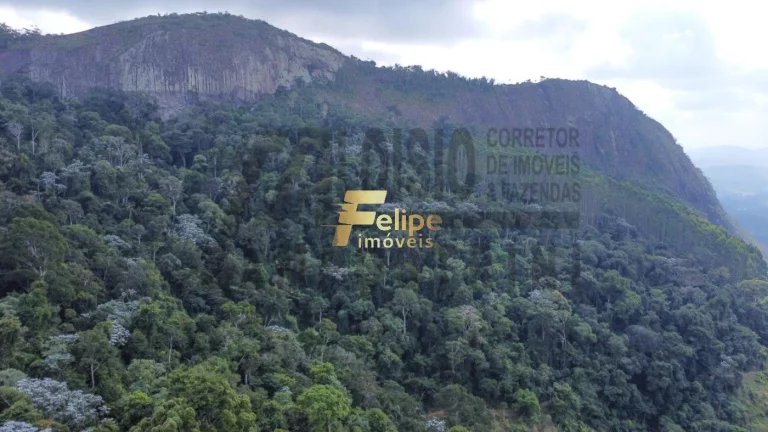 Imagem Vende-se uma incrível Fazenda de 80 alqueires, localizada a apenas 80 km de Colatina!