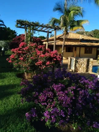 Imagem Chácara para Venda em Espírito Santo do Pinhal, Área Rural de Espírito Santo do Pinhal, 3 dormitórios, 1 suíte, 2 banheiros, 9 vagas