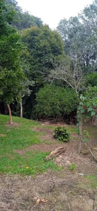 Imagem Área com quase 24 mil metros na Fazenda Rio Grande