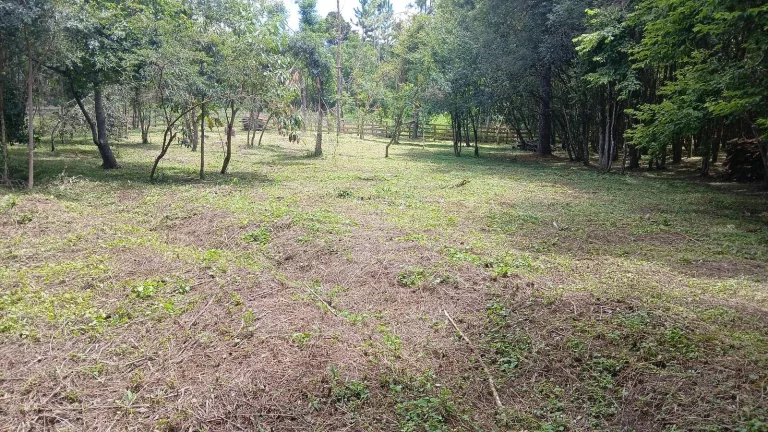 Terreno com 7260m2 no Centro de Fernandes Pinheiro