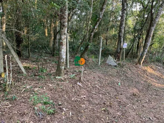 Imagem Terreno para Venda em São Roque, Jardim Dos Andes (mailasqui)
