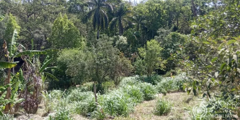 Imagem Terreno para Venda em Pedra Bela / SP no bairro Acampamento anchieta
