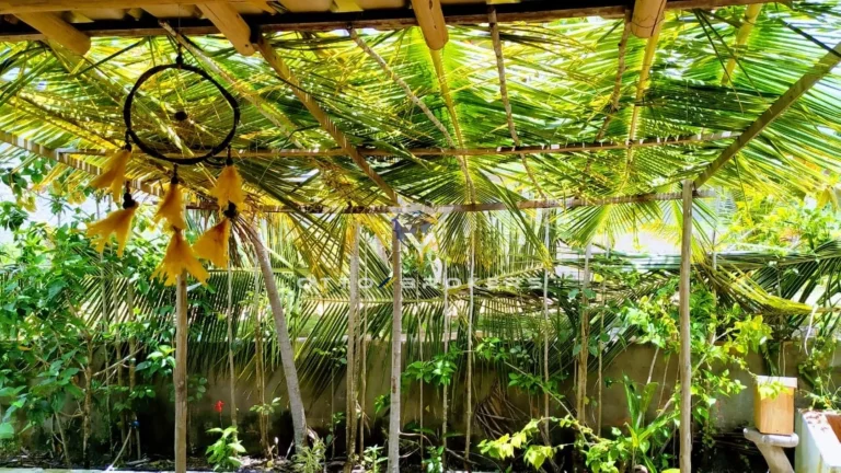 Imagem CASA RESIDENCIAL em Santa Cruz Cabrália - BA, LOTEAMENTO PARAÍSO DO DESCOBRIMENTO