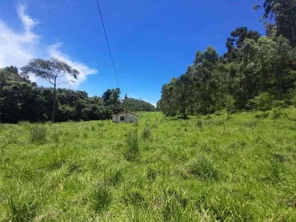 Imagem Fazenda à venda em Barbacena, Correia de Almeida, com 4 quartos, 53ha