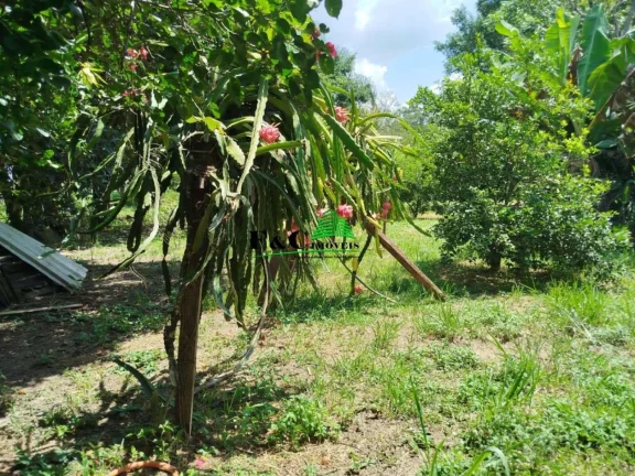 Imagem Chácara para Venda em Limeira, Bairro dos Pires, 4 dormitórios, 2 suítes, 3 banheiros, 2 vagas