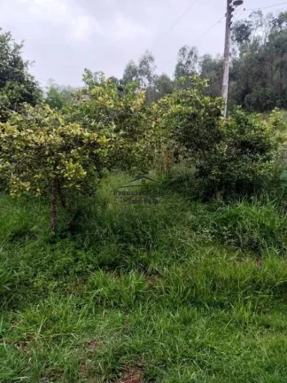 Imagem Chácara à venda no bairro Rocinha - Guaratinguetá/SP