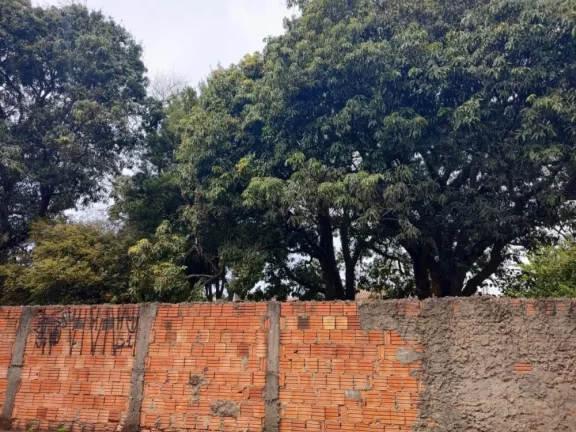 Imagem Ótimo terreno a venda encostado ao costelão - Tatuí