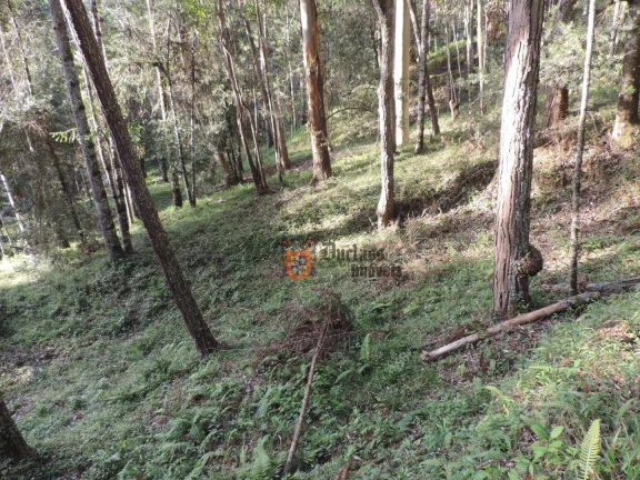 Imagem Sítio com 2 dormitórios à venda, 1000000 m² por R$ 28.000.000,00 - Dos Marmelos - Campos do Jordão/SP