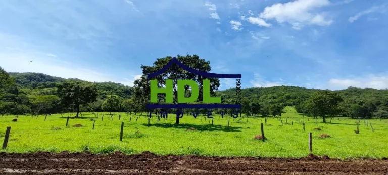 Imagem Fazenda Cultura forte com 25 Alqs em Hidrolândia