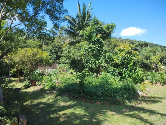 Imagem Sitio com casa e piscina no Braço em Camboriú