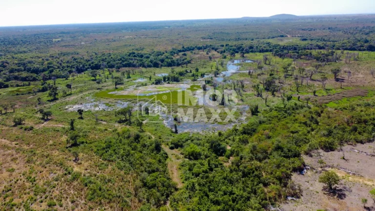 Imagem Fazenda a venda em Formosa: 281 hectares, água perene, dupla aptidão - escriturada e registrada.