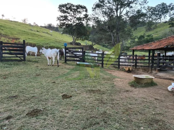 Imagem Sítio em Piracaia com 31 Alqueires