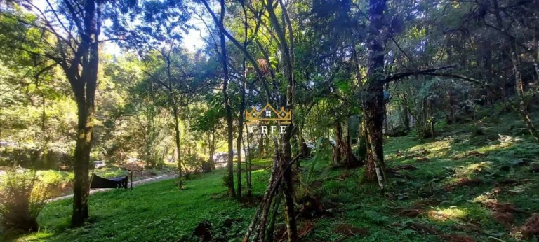 Imagem Chácara - Sítio com 2 Dormitorio(s) localizado(a) no bairro Carapina em São Francisco de Paula / RIO GRANDE DO SUL Ref.:1539