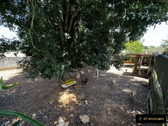 Imagem Chácara Plana à venda em Mairiporã/SP com 3.180m² - Completa em Lazer!