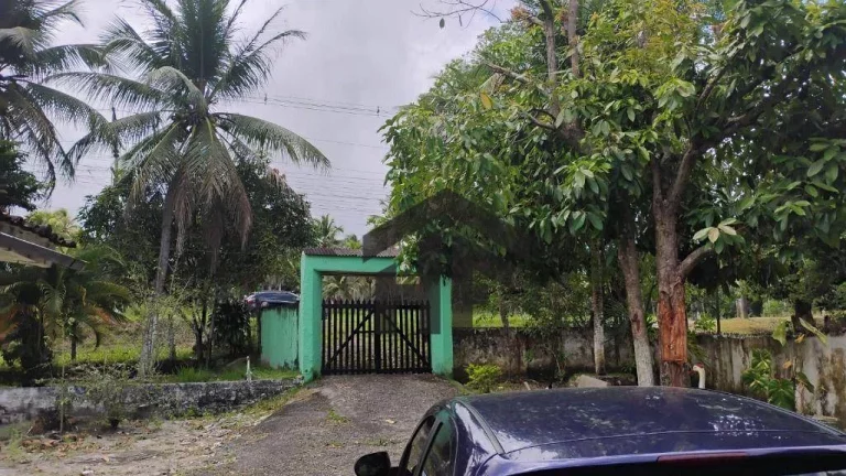 Chácara com 3 Quartos à Venda, 4.500 m² em Centro - Igarassu