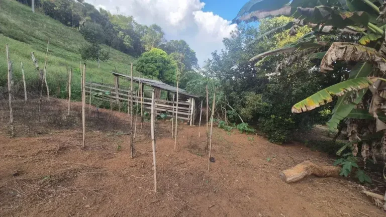 Imagem Sítio Encantador com Pomar, Solo Fértil e Construção Rústica em Antônio Carlo