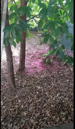 Imagem Linda casa com chácara perto de tudo. Estudo troca por imóveis de menor valor.