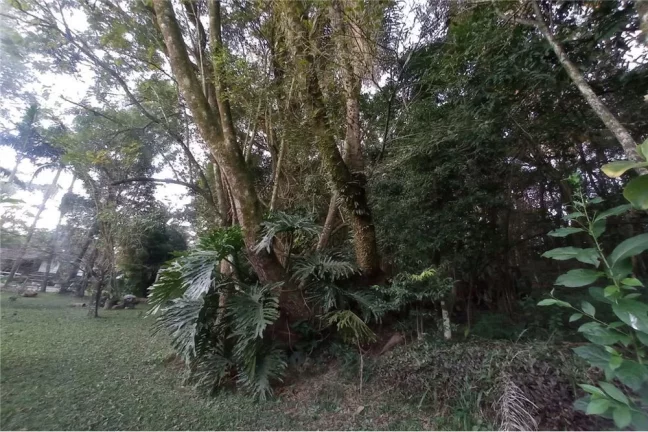 Imagem CCDZ 28 Lote 630331044-7