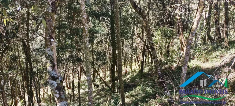 Imagem Terreno Rural na Serra da Mantiqueira | Sertão do Cantagalo