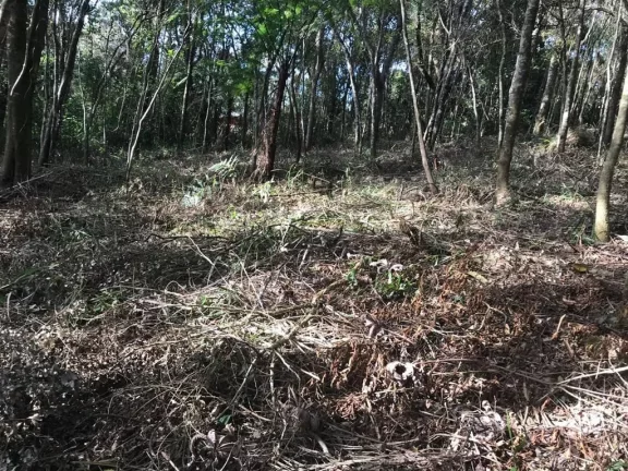 Imagem Terreno à venda, 1375 m² por R$ 250.000,00 - Jardim Cinco Lagos - Mairiporã/SP