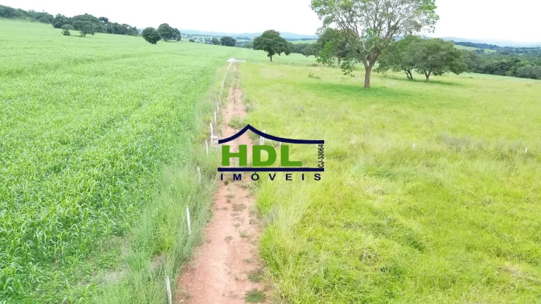 Imagem Fazenda com 15 Alqs com 10 Alqs em soja em Cromínia