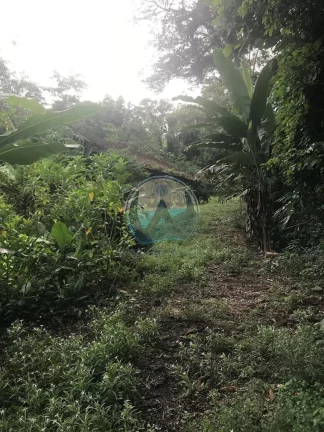 Imagem Terreno à venda em Ubatuba-SP, Horto Figueira: 200m² de área promissora!