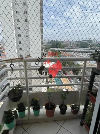 Imagem Apartamento em Condomínio para Venda no bairro Casa Branca - Santo André