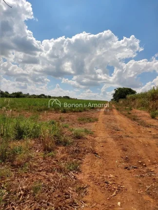 Imagem Venda, área industrial, bairro Bonfim, em Paulínia!
Zoneamento ZD 1 (zona de desenvolvimento indus...