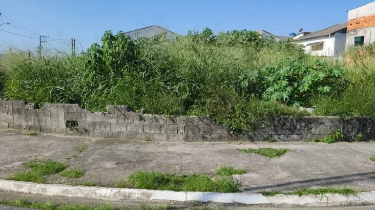Imagem Terreno à venda, 175 m² por R$ 290.000,00 - Jardim Quaresmeira - Suzano/SP