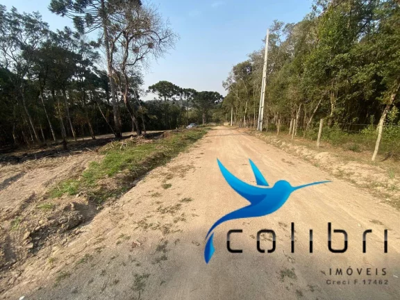 Imagem Terreno à Venda, 2.141 m² em Leão - Agudos Do Sul