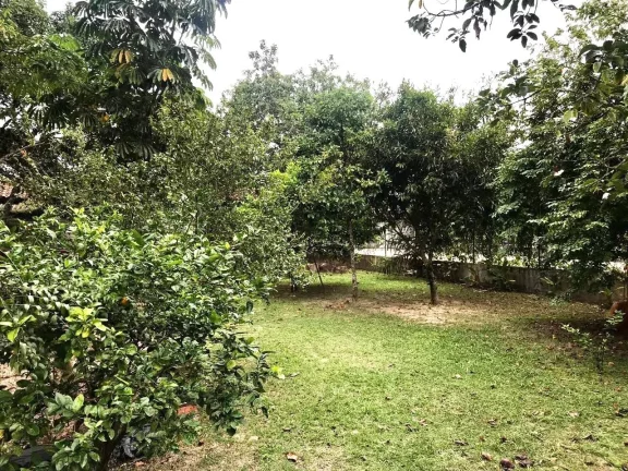 Imagem Linda casa às venda ou locação no centro de Iguape/SP