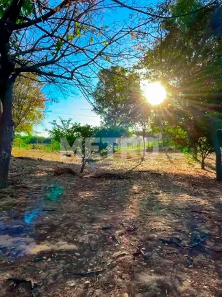 Imagem Área Beira rio à venda com 4ha com excelente localização, casa, Petrolina-PE