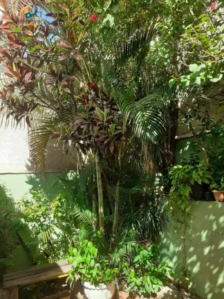 Imagem Sobrado Padrão à venda em São Paulo/SP