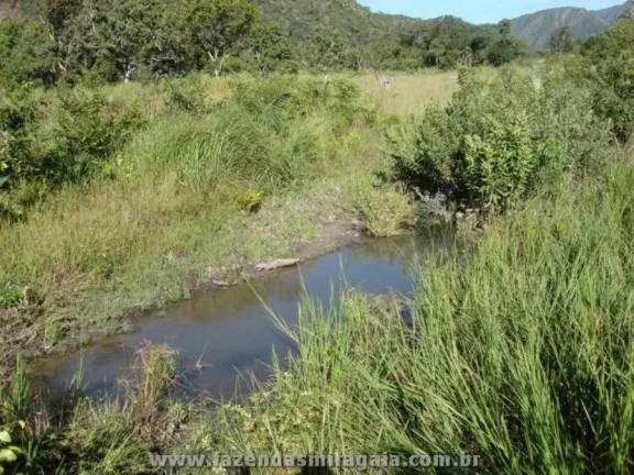 Imagem Fazenda para Venda por R$16.000.000,00 - Monte alegre, Goiania / GO - Cód. BDI24609