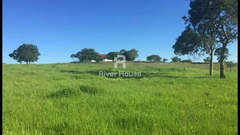 Imagem Rural / Fazenda na cidade de Poconé