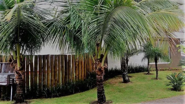 Imagem Sobrado Condomínio Costa Nova Residence Club - Massaguaçu - Caraguatatuba
