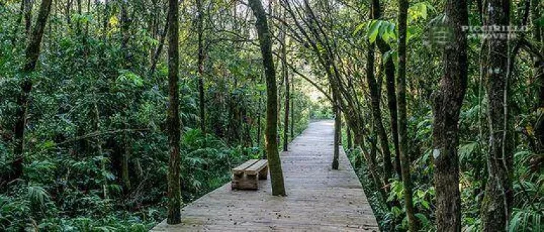 Imagem Terreno à venda, 450 m² por R$ 60.000,00 - Zona Rural - Águas de Santa Bárbara/SP